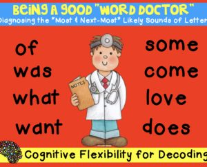 Word Doctor Cognitive Flexibility for Exceptions