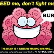 brain is a pattern making machine