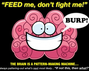 brain is a pattern making machine