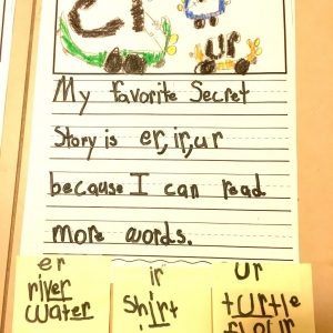 FREE Secret Stories® Phonics Secret ER IR UR