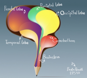 Brain Based Writing