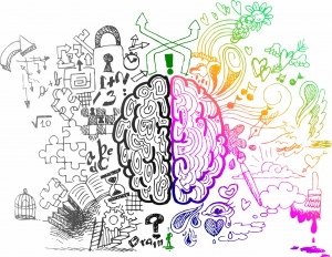 activating-the-brains-emotional-centers-for-learning