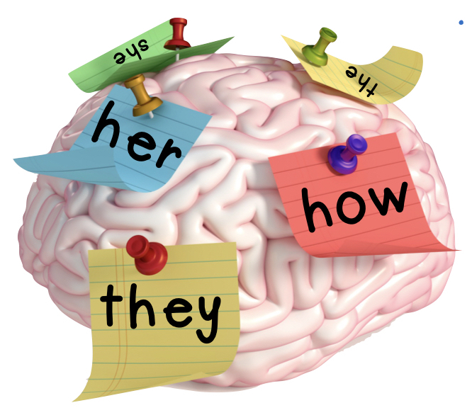 brain based sight words